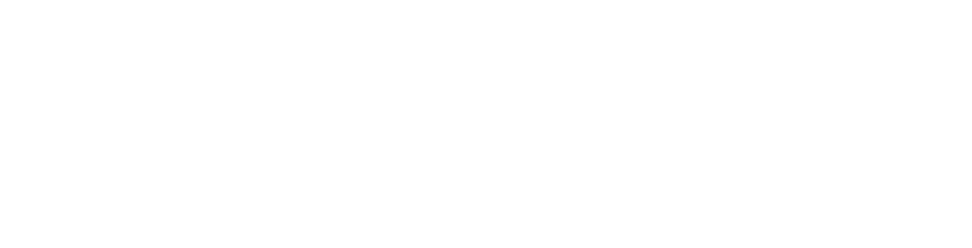 堺東メンズエステ「LEON SPA〜レオンスパ」ロゴ